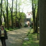 11-DSCN3236